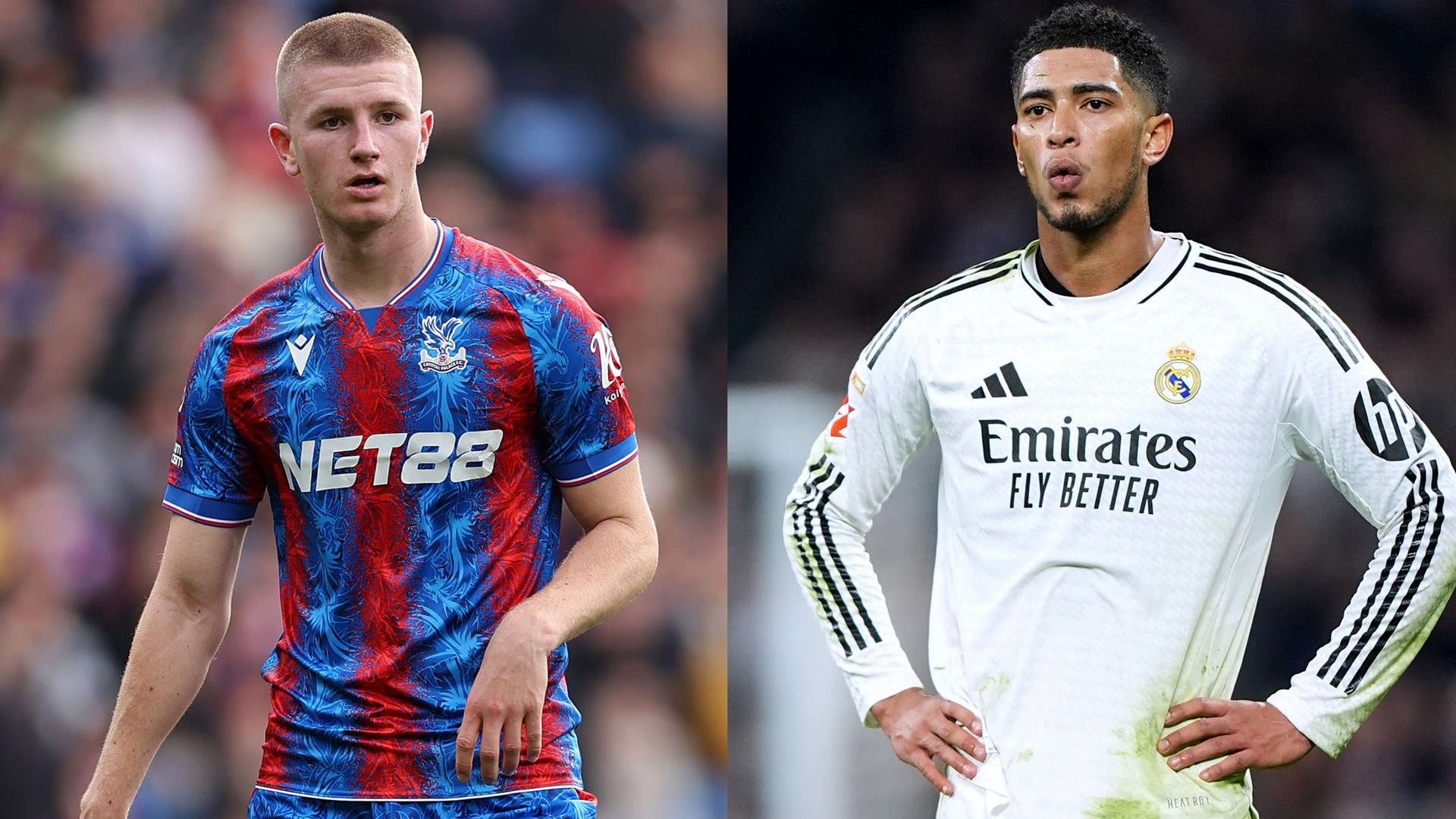 疑为她的职 疑为她的职